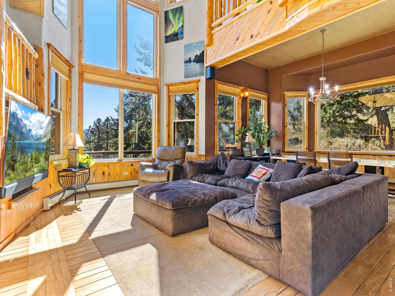 Property Photo 6 Living area with gorgeous sunlight and room for everyone