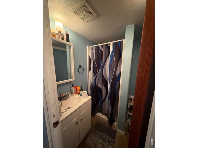 Property Photo 31 Basement Bathroom