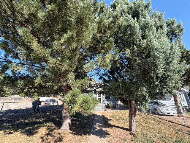 Property Photo 34 Mature trees in front yard.