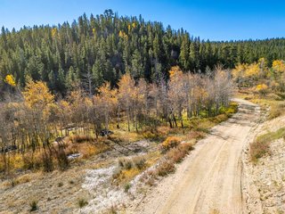 53 Ada Ct Red Feather Lakes, CO 80545
