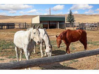 70521 County Road 138 Carr, CO 80612