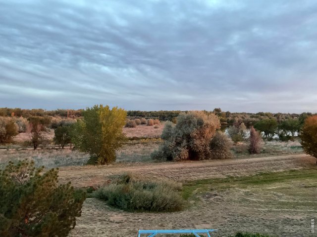 Property Photo 32 Open Field Views Beyond Backyard