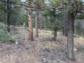 0 Toboggan Rd Pine, CO 80470