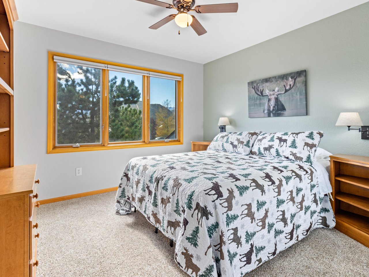 Property Photo 26 