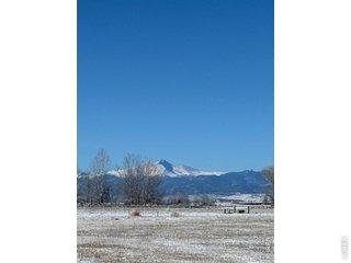 15124 Mattana Dr Mead, CO 80542