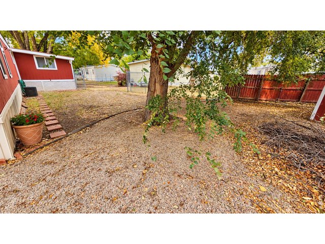 Property Photo 22 Back/side yard
