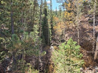 12190 Highway 7 Allenspark, CO 80510