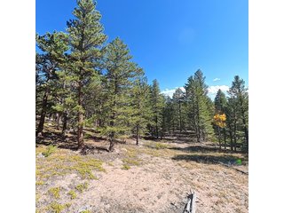 12680 Highway 7 Allenspark, CO 80510