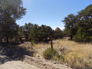 (TBD) Little Bear Rd Mosca, CO 81146
