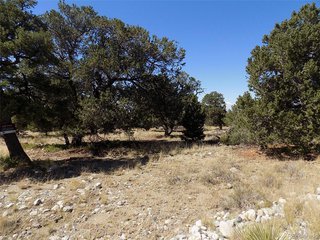 (TBD) Mill Run Rd Mosca, CO 81146