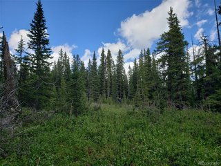 586 El Lobo Ln Fairplay, CO 80440