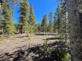 100 Virginia Ave Leadville, CO 80461