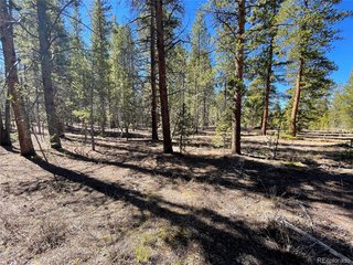 251 Virginia Ave Leadville, CO 80461