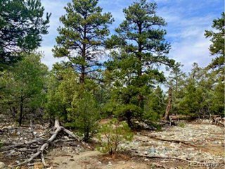 (TBD) Mill Run Rd Mosca, CO 81146
