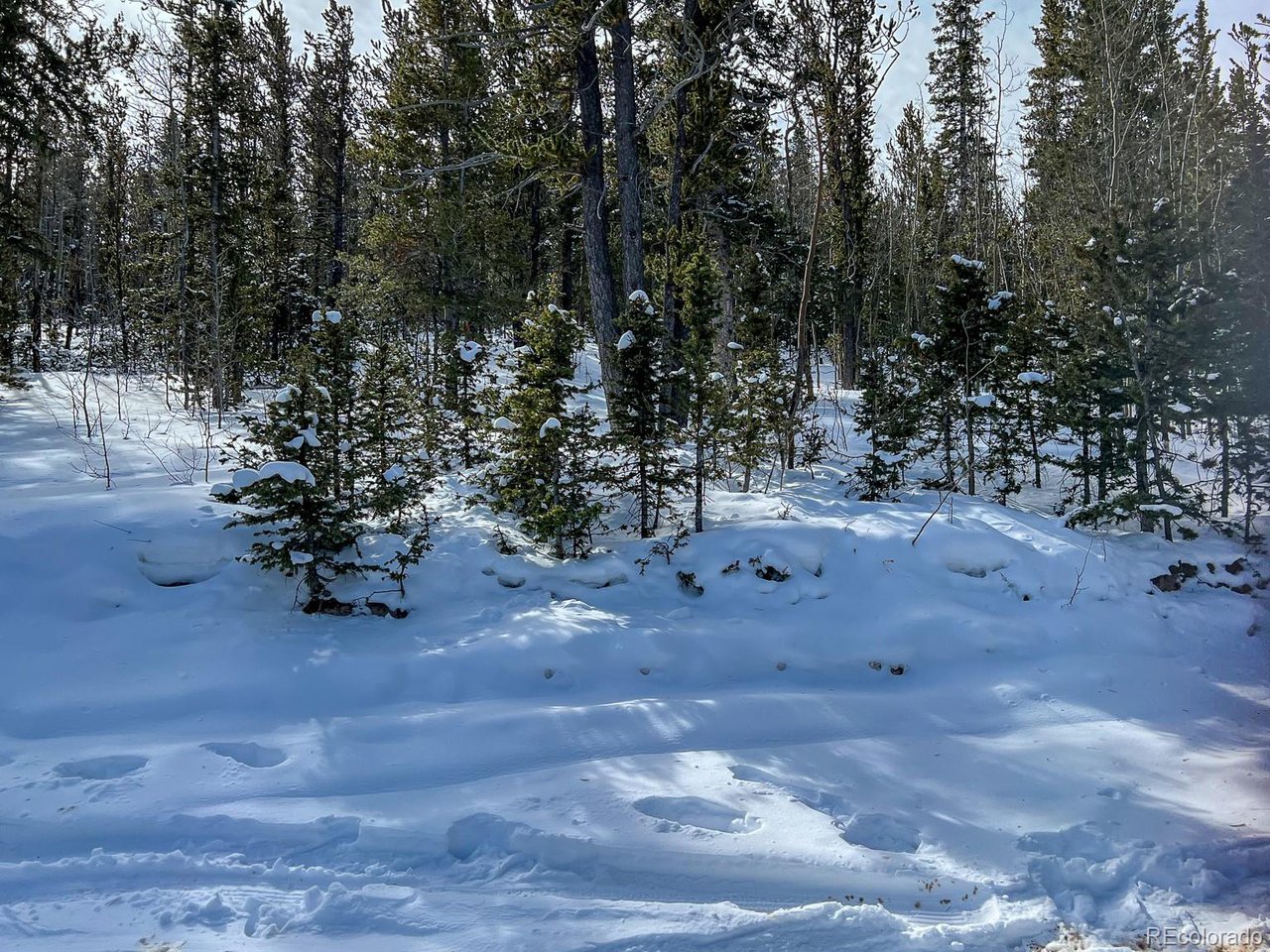 (TBD) R0029767 Cripple Creek, Colorado 80813 Colorado Vacant Land/Lots