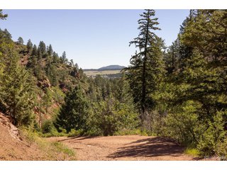 (TBD) Balanced Rock Rd Palmer Lake, CO 80133