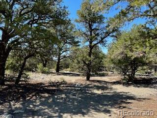 15 Mill Run Rd Mosca, CO 81146