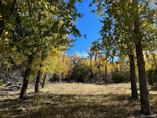124 Indian Hill Rd Mosca, CO 81146