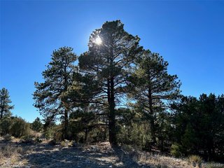 25 Pioneer Rd Mosca, CO 81144