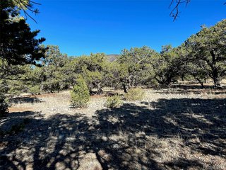 3 Mill Run Rd Mosca, CO 81146