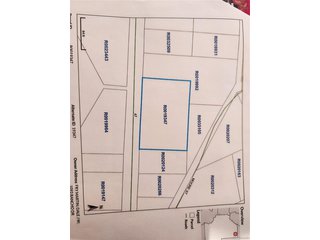 98 Wilkins Rd Bailey, CO 80421