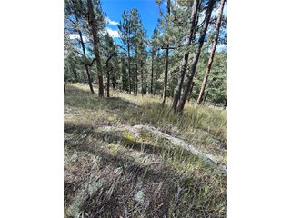 5233 S Road A Evergreen, CO 80439
