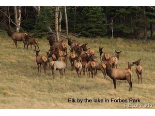 2354 Benton Pl Fort Garland, CO 81133