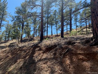 15421 Westcreek Rd Woodland Park, CO 80863