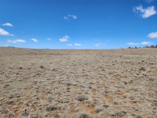 244 Brahma Cir Hartsel, CO 80449