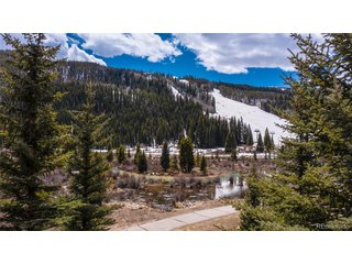 58 Hawk Cir 2342 Dillon, CO 80435