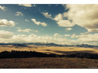 1185 County Road 734 Fairplay, CO 80440