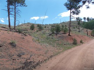 14691 Crooked Trail Rd Woodland Park, CO 80863