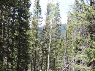 0 Georgia Pass Lookout Jefferson, CO 80456