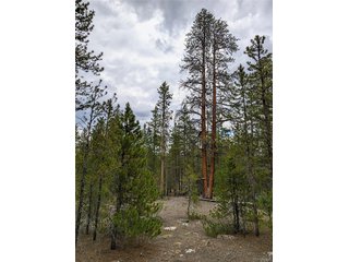 437 Juniper Dr Twin Lakes, CO 81251