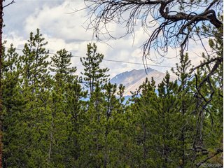 1073 Sequoia Dr Twin Lakes, CO 81251