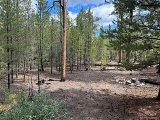 399 Fir Dr Twin Lakes, CO 80461