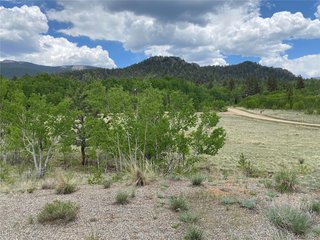 2071 Al Gulch Rd Jefferson, CO 80456