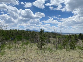 0 Al Gulch Rd Jefferson, CO 80456