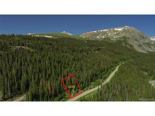 299 CR 805 Breckenridge, CO 80424