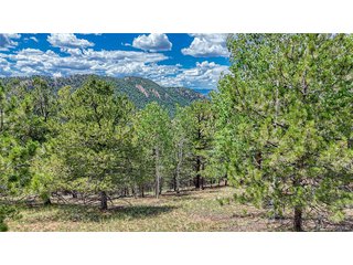 24 Wild Horse Cir Cripple Creek, CO 80813