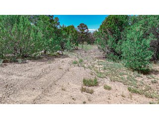 11771 Diamond View Rd Trinidad, CO 81082