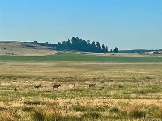 (TBD) Craven Lot 1 Elbert, CO 80106