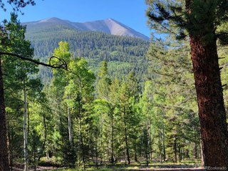 (TBD) County Road 292A Nathrop, CO 81236