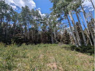 3070 Henderson Dr Fort Garland, CO 81133