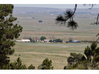 21 McClelland Rd Calhan, CO 80808