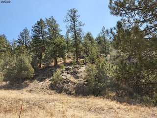 1314 Arnold Dr Cotopaxi, CO 81223