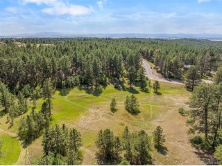 1133 Tomichi Dr Franktown, CO 80116