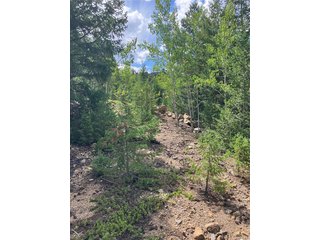 7 Miners Rd Black Hawk, CO 80422
