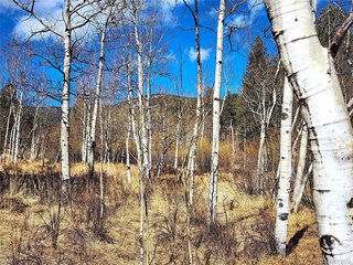 144 Gray St Bailey, CO 80421