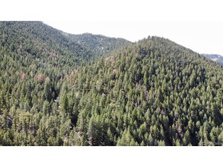 7893 Fourmile Canyon Dr Boulder, CO 80302